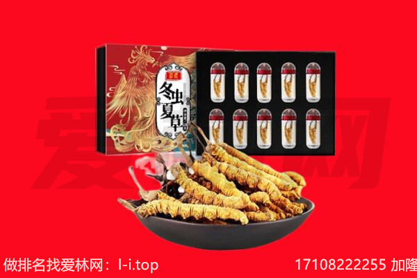 四平市铁东回收虫草.jpg